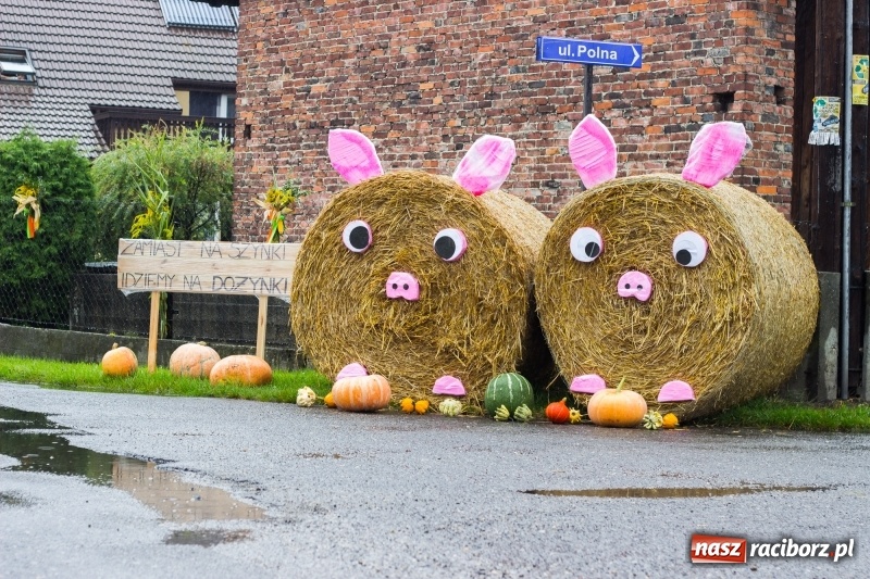 Zdjęcie w galerii na portalu naszraciborz.pl: Budziska gospodarzem gminnych dożynek Kuźni Raciborskiej FOTORELACJA wiadomości z regionu