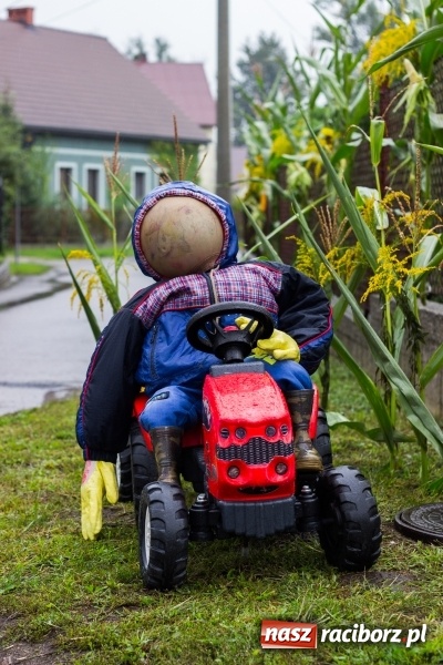 Zdjęcie w galerii na portalu naszraciborz.pl: Budziska gospodarzem gminnych dożynek Kuźni Raciborskiej FOTORELACJA wiadomości z regionu