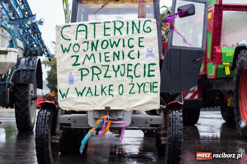 Zdjęcie w galerii na portalu naszraciborz.pl: Roztańczone Wojnowice, czyli dożynki gminy Krzanowice w rytmie Despacito FOTO i WIDEO wiadomości z regionu