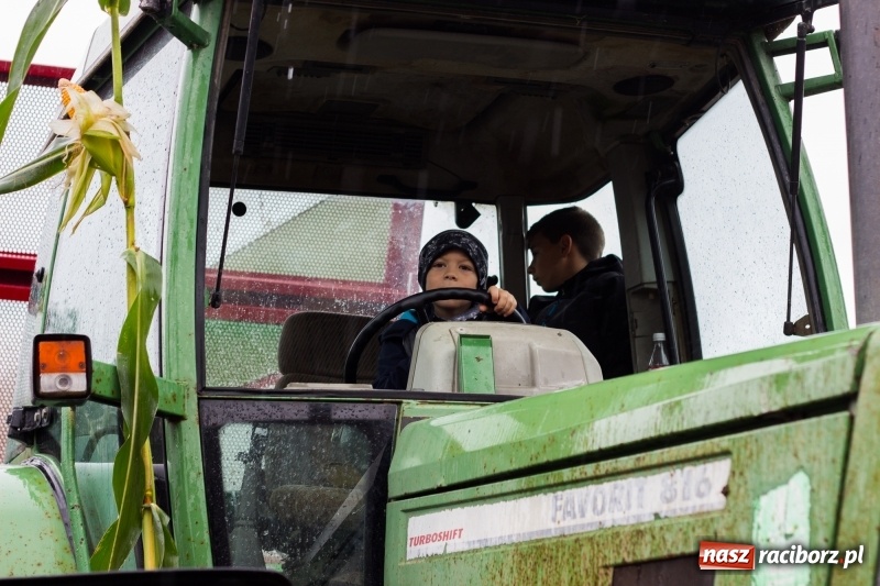 Zdjęcie w galerii na portalu naszraciborz.pl: Roztańczone Wojnowice, czyli dożynki gminy Krzanowice w rytmie Despacito FOTO i WIDEO wiadomości z regionu