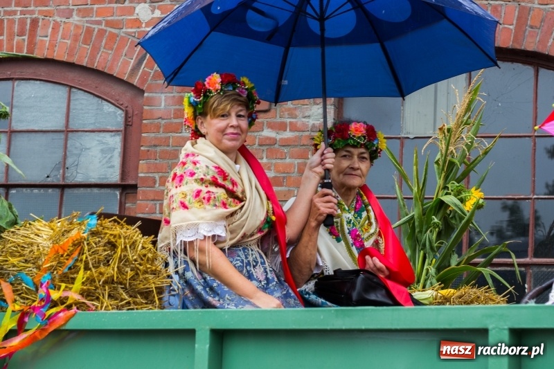 Zdjęcie w galerii na portalu naszraciborz.pl: Roztańczone Wojnowice, czyli dożynki gminy Krzanowice w rytmie Despacito FOTO i WIDEO wiadomości z regionu