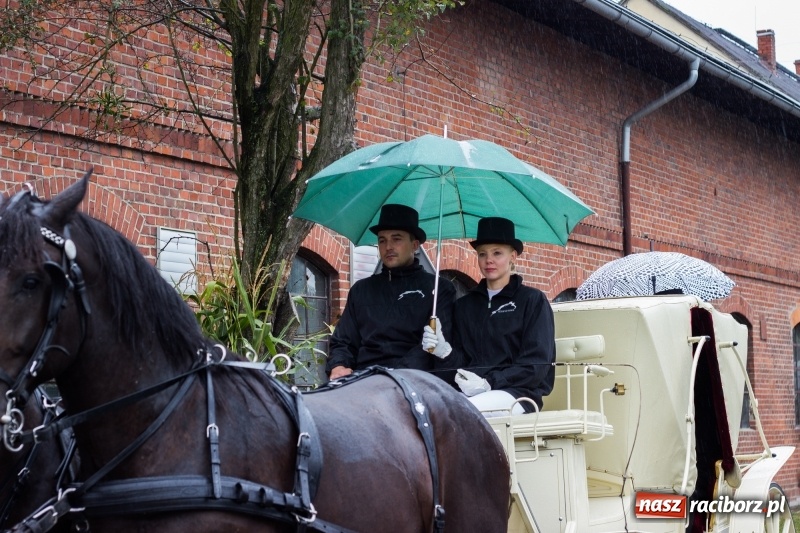 Zdjęcie w galerii na portalu naszraciborz.pl: Roztańczone Wojnowice, czyli dożynki gminy Krzanowice w rytmie Despacito FOTO i WIDEO wiadomości z regionu