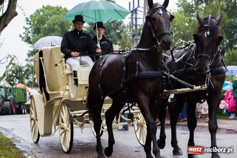 Zdjęcie w galerii na portalu naszraciborz.pl: Roztańczone Wojnowice, czyli dożynki gminy Krzanowice w rytmie Despacito FOTO i WIDEO wiadomości z regionu