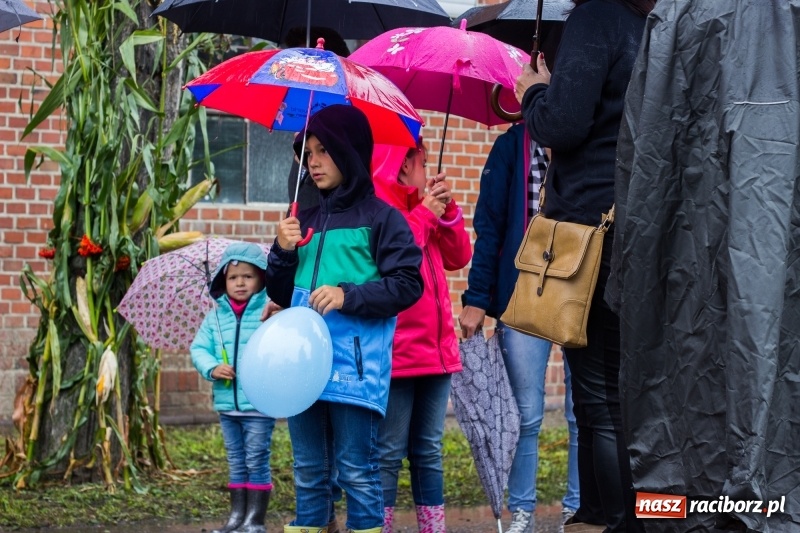 Zdjęcie w galerii na portalu naszraciborz.pl: Roztańczone Wojnowice, czyli dożynki gminy Krzanowice w rytmie Despacito FOTO i WIDEO wiadomości z regionu