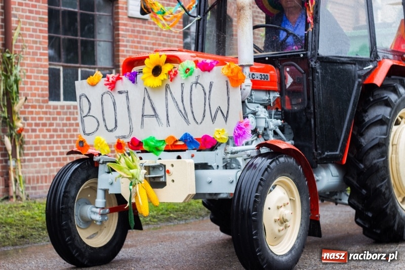 Zdjęcie w galerii na portalu naszraciborz.pl: Roztańczone Wojnowice, czyli dożynki gminy Krzanowice w rytmie Despacito FOTO i WIDEO wiadomości z regionu