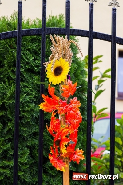 Zdjęcie w galerii na portalu naszraciborz.pl: Roztańczone Wojnowice, czyli dożynki gminy Krzanowice w rytmie Despacito FOTO i WIDEO wiadomości z regionu