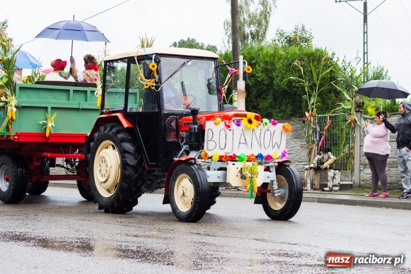 Zdjęcie w galerii na portalu naszraciborz.pl: Roztańczone Wojnowice, czyli dożynki gminy Krzanowice w rytmie Despacito FOTO i WIDEO wiadomości z regionu