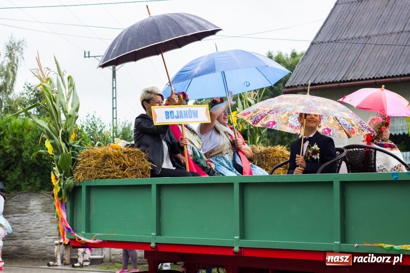Zdjęcie w galerii na portalu naszraciborz.pl: Roztańczone Wojnowice, czyli dożynki gminy Krzanowice w rytmie Despacito FOTO i WIDEO wiadomości z regionu