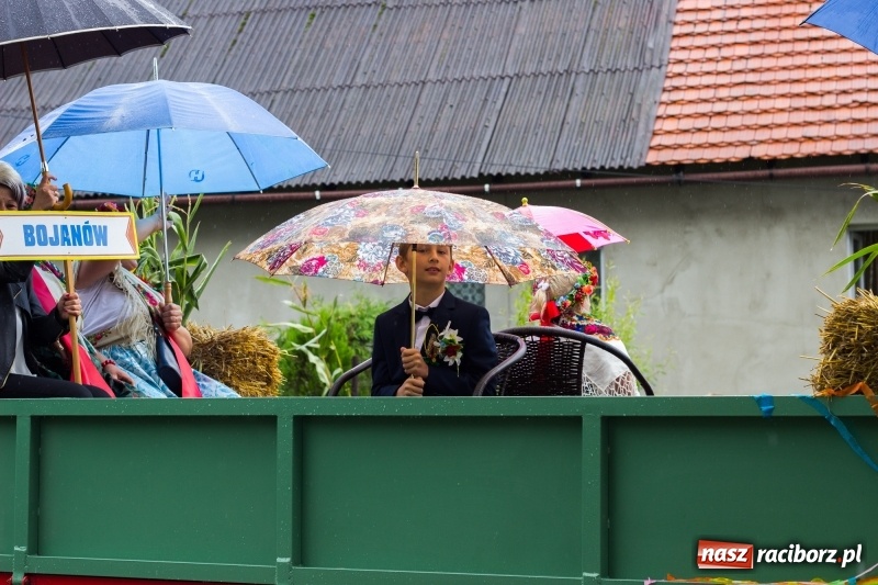 Zdjęcie w galerii na portalu naszraciborz.pl: Roztańczone Wojnowice, czyli dożynki gminy Krzanowice w rytmie Despacito FOTO i WIDEO wiadomości z regionu