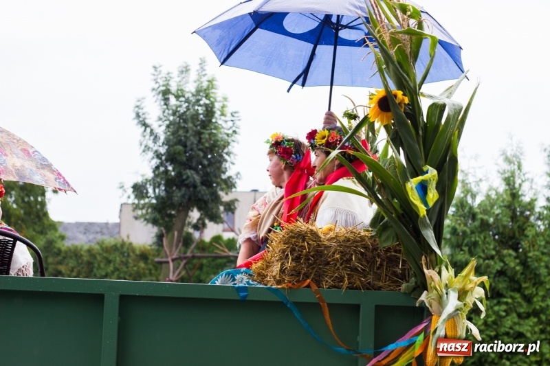 Zdjęcie w galerii na portalu naszraciborz.pl: Roztańczone Wojnowice, czyli dożynki gminy Krzanowice w rytmie Despacito FOTO i WIDEO wiadomości z regionu