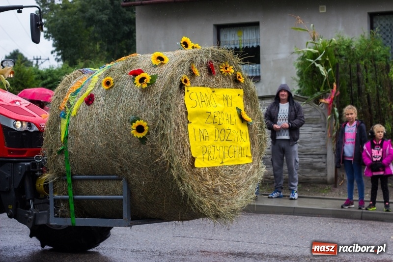 Zdjęcie w galerii na portalu naszraciborz.pl: Roztańczone Wojnowice, czyli dożynki gminy Krzanowice w rytmie Despacito FOTO i WIDEO wiadomości z regionu