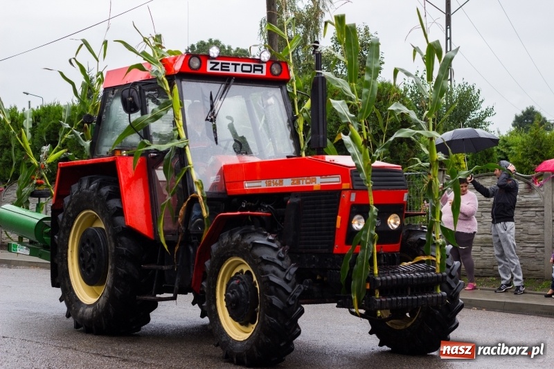 Zdjęcie w galerii na portalu naszraciborz.pl: Roztańczone Wojnowice, czyli dożynki gminy Krzanowice w rytmie Despacito FOTO i WIDEO wiadomości z regionu