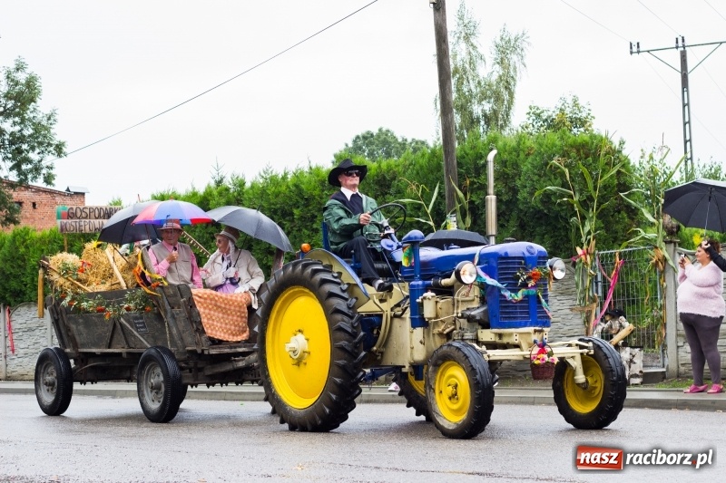 Zdjęcie w galerii na portalu naszraciborz.pl: Roztańczone Wojnowice, czyli dożynki gminy Krzanowice w rytmie Despacito FOTO i WIDEO wiadomości z regionu