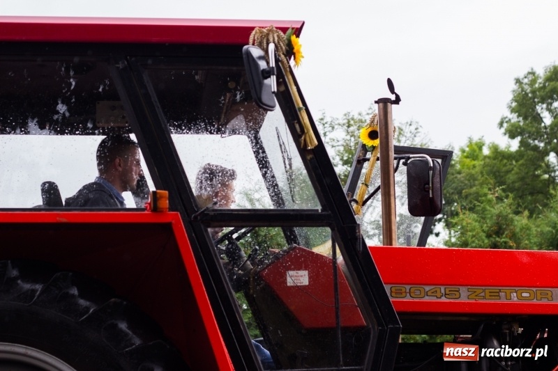 Zdjęcie w galerii na portalu naszraciborz.pl: Roztańczone Wojnowice, czyli dożynki gminy Krzanowice w rytmie Despacito FOTO i WIDEO wiadomości z regionu