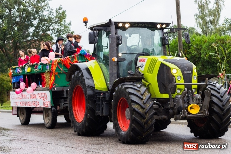 Zdjęcie w galerii na portalu naszraciborz.pl: Roztańczone Wojnowice, czyli dożynki gminy Krzanowice w rytmie Despacito FOTO i WIDEO wiadomości z regionu