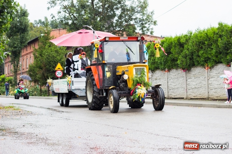 Zdjęcie w galerii na portalu naszraciborz.pl: Roztańczone Wojnowice, czyli dożynki gminy Krzanowice w rytmie Despacito FOTO i WIDEO wiadomości z regionu
