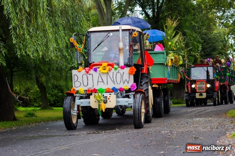 Zdjęcie w galerii na portalu naszraciborz.pl: Roztańczone Wojnowice, czyli dożynki gminy Krzanowice w rytmie Despacito FOTO i WIDEO wiadomości z regionu