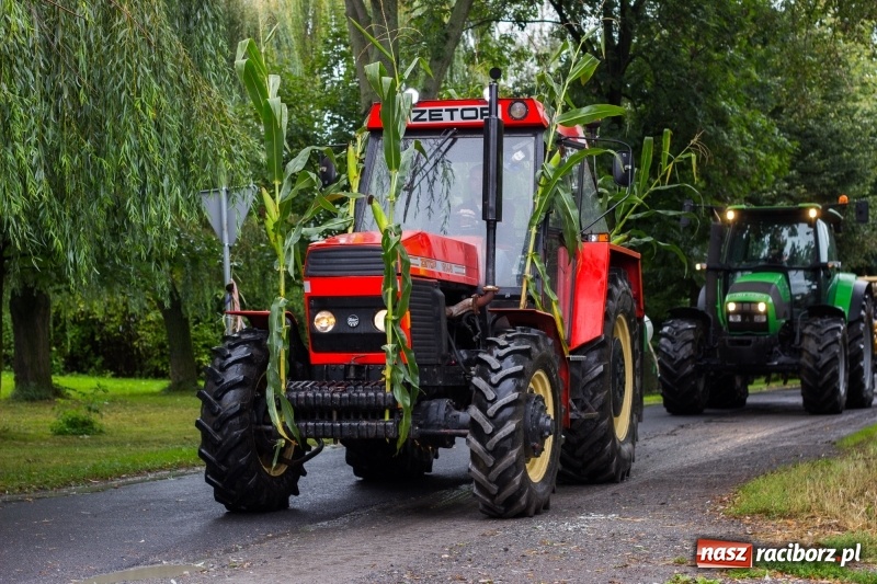 Zdjęcie w galerii na portalu naszraciborz.pl: Roztańczone Wojnowice, czyli dożynki gminy Krzanowice w rytmie Despacito FOTO i WIDEO wiadomości z regionu