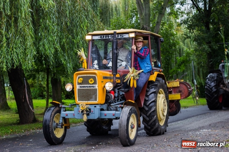 Zdjęcie w galerii na portalu naszraciborz.pl: Roztańczone Wojnowice, czyli dożynki gminy Krzanowice w rytmie Despacito FOTO i WIDEO wiadomości z regionu