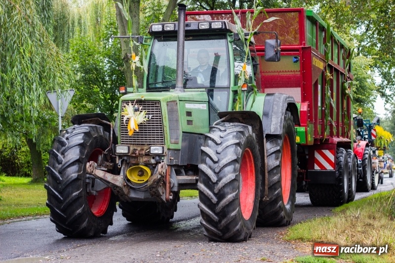 Zdjęcie w galerii na portalu naszraciborz.pl: Roztańczone Wojnowice, czyli dożynki gminy Krzanowice w rytmie Despacito FOTO i WIDEO wiadomości z regionu