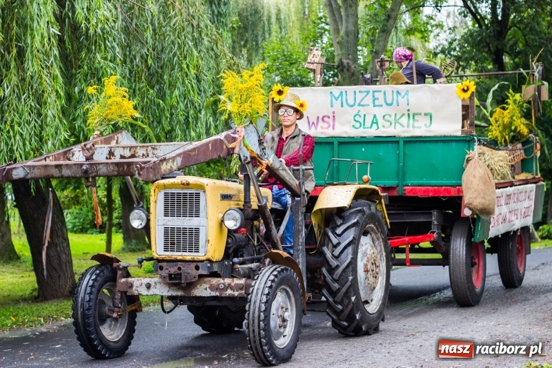 Zdjęcie w galerii na portalu naszraciborz.pl: Roztańczone Wojnowice, czyli dożynki gminy Krzanowice w rytmie Despacito FOTO i WIDEO wiadomości z regionu