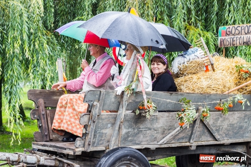 Zdjęcie w galerii na portalu naszraciborz.pl: Roztańczone Wojnowice, czyli dożynki gminy Krzanowice w rytmie Despacito FOTO i WIDEO wiadomości z regionu