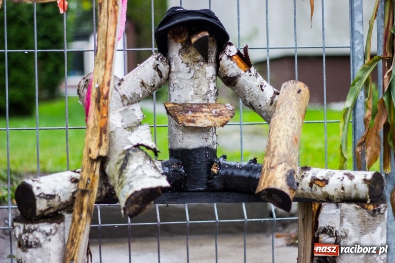 Zdjęcie w galerii na portalu naszraciborz.pl: Roztańczone Wojnowice, czyli dożynki gminy Krzanowice w rytmie Despacito FOTO i WIDEO wiadomości z regionu