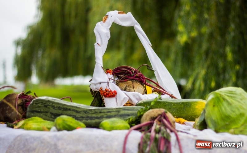 Zdjęcie w galerii na portalu naszraciborz.pl: Roztańczone Wojnowice, czyli dożynki gminy Krzanowice w rytmie Despacito FOTO i WIDEO wiadomości z regionu