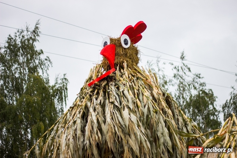 Zdjęcie w galerii na portalu naszraciborz.pl: Roztańczone Wojnowice, czyli dożynki gminy Krzanowice w rytmie Despacito FOTO i WIDEO wiadomości z regionu