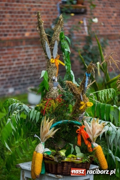 Zdjęcie w galerii na portalu naszraciborz.pl: Roztańczone Wojnowice, czyli dożynki gminy Krzanowice w rytmie Despacito FOTO i WIDEO wiadomości z regionu