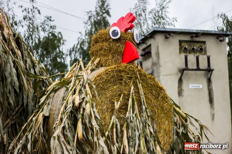 Zdjęcie w galerii na portalu naszraciborz.pl: Roztańczone Wojnowice, czyli dożynki gminy Krzanowice w rytmie Despacito FOTO i WIDEO wiadomości z regionu