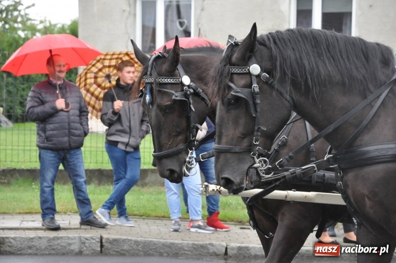 Zdjęcie w galerii na portalu naszraciborz.pl: Roztańczone Wojnowice, czyli dożynki gminy Krzanowice w rytmie Despacito FOTO i WIDEO wiadomości z regionu