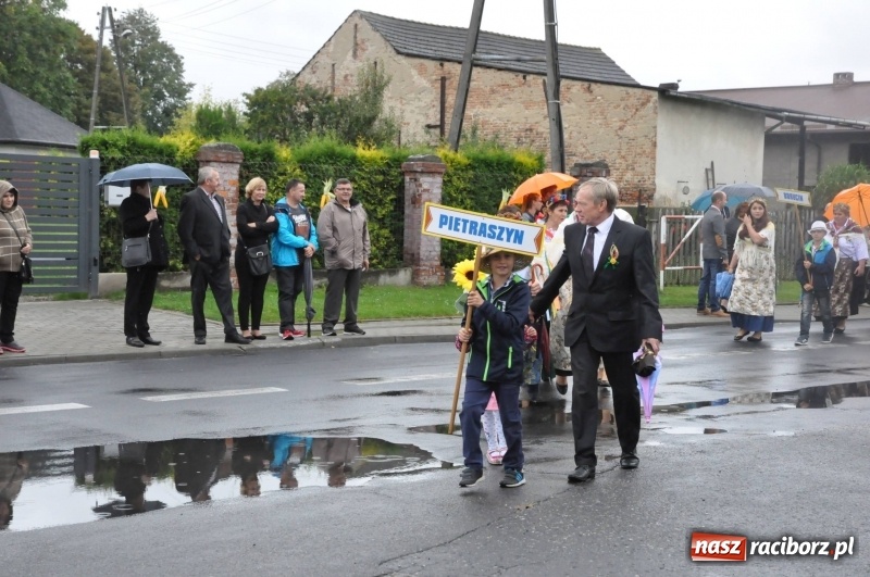 Zdjęcie w galerii na portalu naszraciborz.pl: Roztańczone Wojnowice, czyli dożynki gminy Krzanowice w rytmie Despacito FOTO i WIDEO wiadomości z regionu