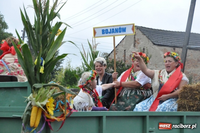 Zdjęcie w galerii na portalu naszraciborz.pl: Roztańczone Wojnowice, czyli dożynki gminy Krzanowice w rytmie Despacito FOTO i WIDEO wiadomości z regionu