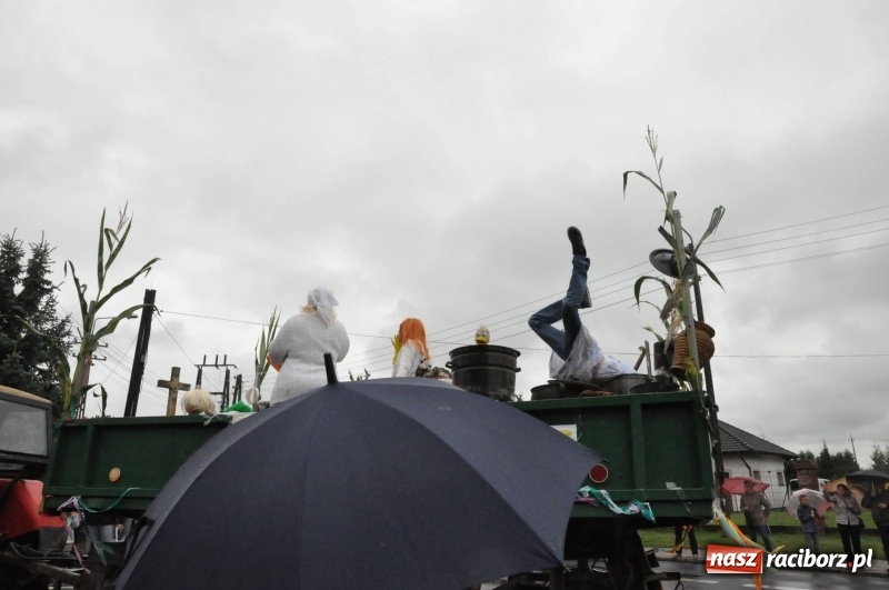 Zdjęcie w galerii na portalu naszraciborz.pl: Roztańczone Wojnowice, czyli dożynki gminy Krzanowice w rytmie Despacito FOTO i WIDEO wiadomości z regionu