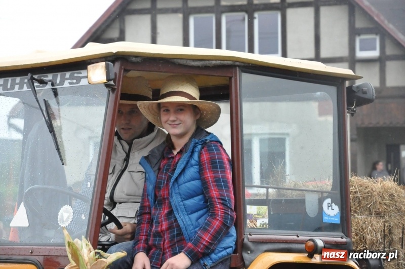 Zdjęcie w galerii na portalu naszraciborz.pl: Roztańczone Wojnowice, czyli dożynki gminy Krzanowice w rytmie Despacito FOTO i WIDEO wiadomości z regionu