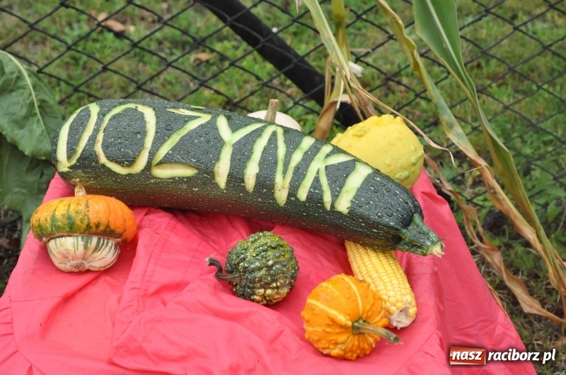 Zdjęcie w galerii na portalu naszraciborz.pl: Roztańczone Wojnowice, czyli dożynki gminy Krzanowice w rytmie Despacito FOTO i WIDEO wiadomości z regionu