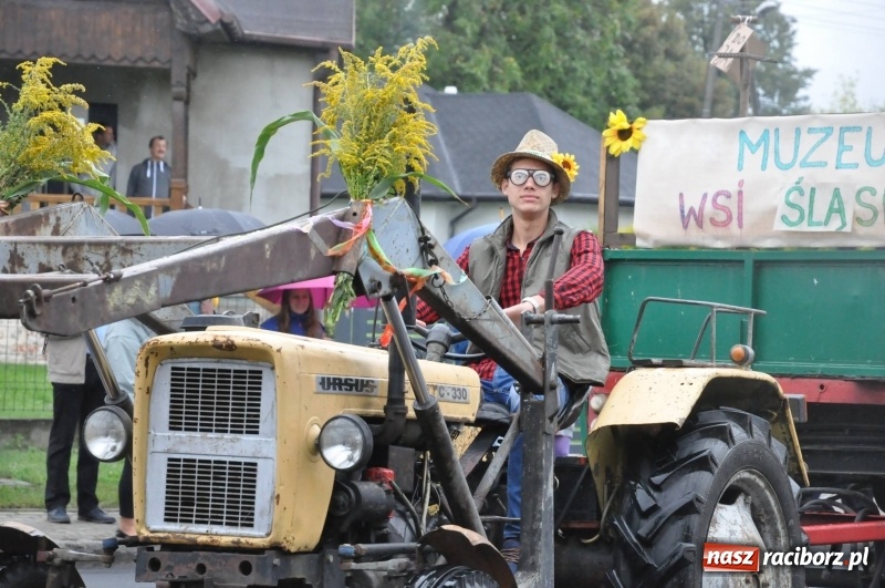 Zdjęcie w galerii na portalu naszraciborz.pl: Roztańczone Wojnowice, czyli dożynki gminy Krzanowice w rytmie Despacito FOTO i WIDEO wiadomości z regionu