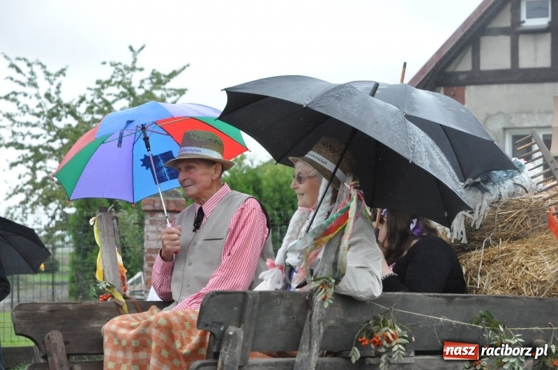 Zdjęcie w galerii na portalu naszraciborz.pl: Roztańczone Wojnowice, czyli dożynki gminy Krzanowice w rytmie Despacito FOTO i WIDEO wiadomości z regionu
