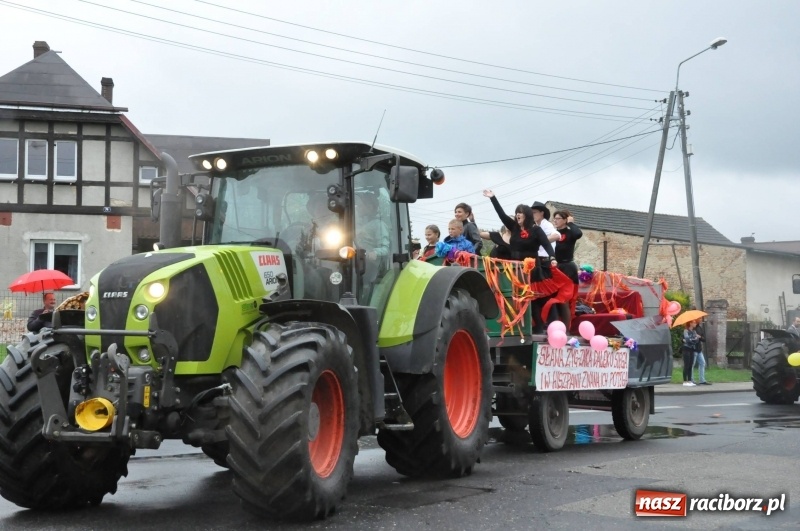 Zdjęcie w galerii na portalu naszraciborz.pl: Roztańczone Wojnowice, czyli dożynki gminy Krzanowice w rytmie Despacito FOTO i WIDEO wiadomości z regionu