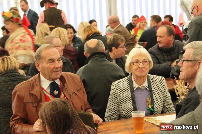 Zdjęcie w galerii na portalu naszraciborz.pl: Roztańczone Wojnowice, czyli dożynki gminy Krzanowice w rytmie Despacito FOTO i WIDEO wiadomości z regionu