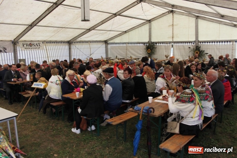 Zdjęcie w galerii na portalu naszraciborz.pl: Roztańczone Wojnowice, czyli dożynki gminy Krzanowice w rytmie Despacito FOTO i WIDEO wiadomości z regionu