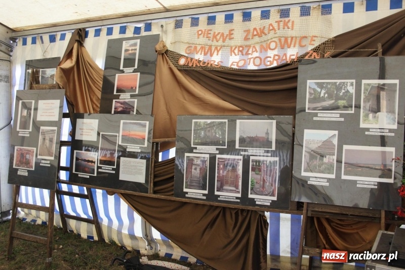 Zdjęcie w galerii na portalu naszraciborz.pl: Roztańczone Wojnowice, czyli dożynki gminy Krzanowice w rytmie Despacito FOTO i WIDEO wiadomości z regionu