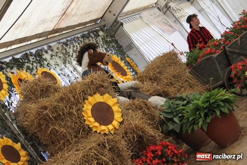 Zdjęcie w galerii na portalu naszraciborz.pl: Roztańczone Wojnowice, czyli dożynki gminy Krzanowice w rytmie Despacito FOTO i WIDEO wiadomości z regionu