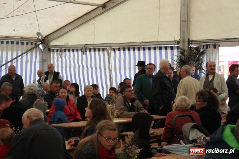 Zdjęcie w galerii na portalu naszraciborz.pl: Roztańczone Wojnowice, czyli dożynki gminy Krzanowice w rytmie Despacito FOTO i WIDEO wiadomości z regionu