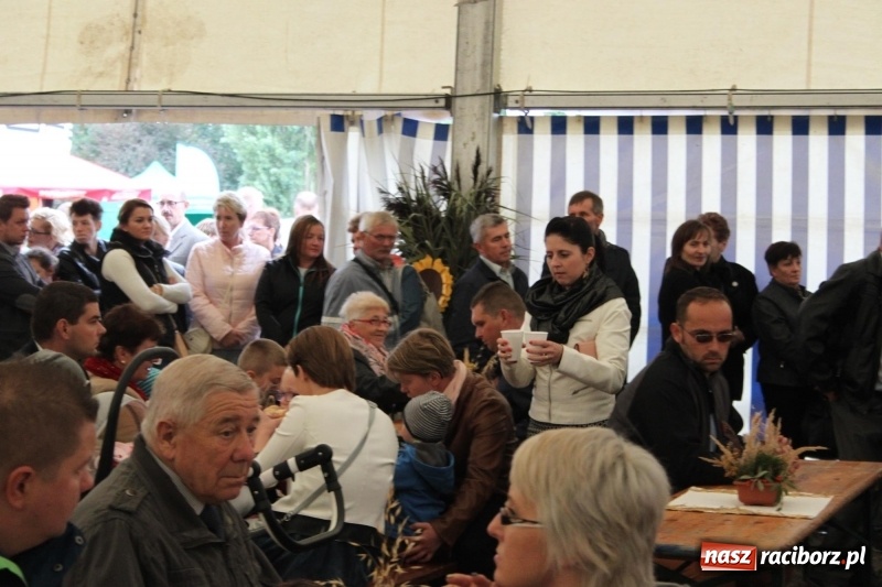Zdjęcie w galerii na portalu naszraciborz.pl: Roztańczone Wojnowice, czyli dożynki gminy Krzanowice w rytmie Despacito FOTO i WIDEO wiadomości z regionu