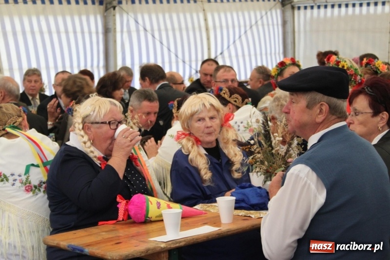 Zdjęcie w galerii na portalu naszraciborz.pl: Roztańczone Wojnowice, czyli dożynki gminy Krzanowice w rytmie Despacito FOTO i WIDEO wiadomości z regionu