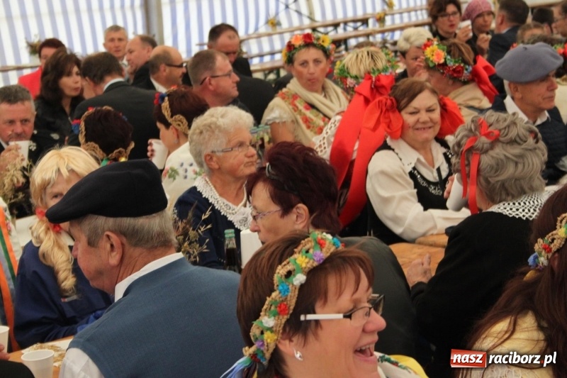 Zdjęcie w galerii na portalu naszraciborz.pl: Roztańczone Wojnowice, czyli dożynki gminy Krzanowice w rytmie Despacito FOTO i WIDEO wiadomości z regionu