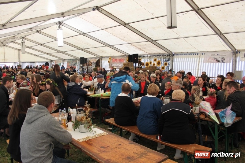 Zdjęcie w galerii na portalu naszraciborz.pl: Roztańczone Wojnowice, czyli dożynki gminy Krzanowice w rytmie Despacito FOTO i WIDEO wiadomości z regionu