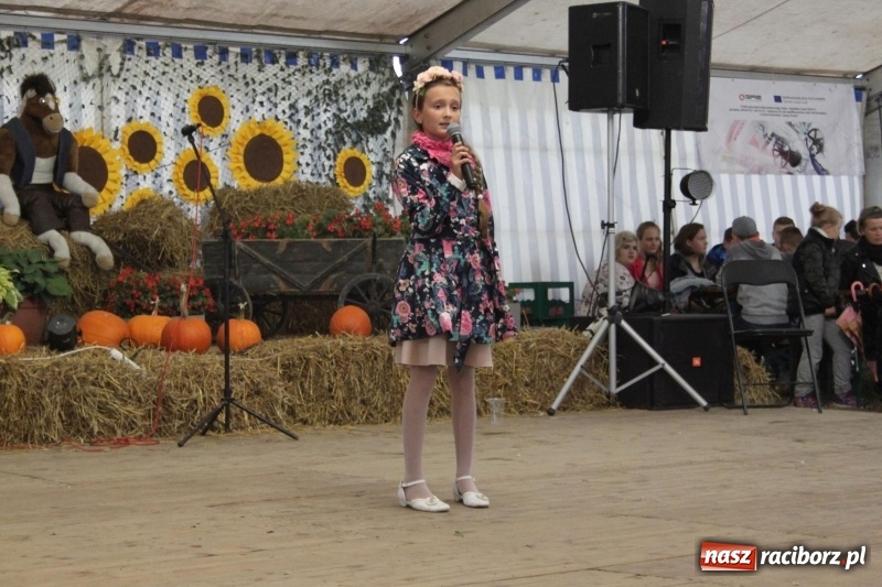 Zdjęcie w galerii na portalu naszraciborz.pl: Roztańczone Wojnowice, czyli dożynki gminy Krzanowice w rytmie Despacito FOTO i WIDEO wiadomości z regionu